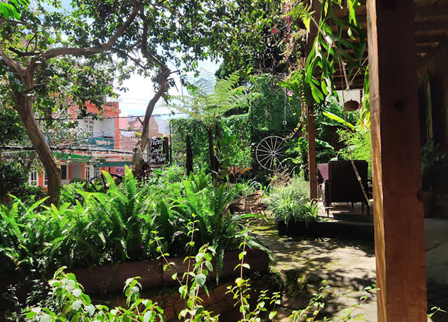 Quán cà phê lối nhỏ Đà Lạt