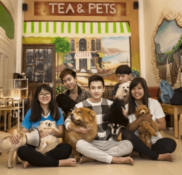 Cafe Tea &Pét có nhiều loại thú cưng đáng yêu dành cho các bạn trẻ tới vui đùa