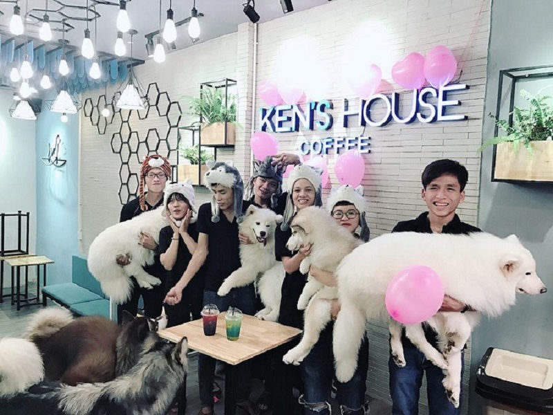 Ken’s House Coffee nổi tiếng với những chú chó Alaska hiền lành và đáng yêu