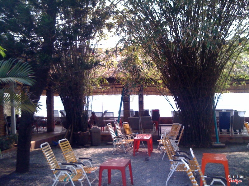 Bàn ghế đặt dưới bóng cây tre tạo cảm giác mát mẻ, gần gũi thiên nhiên tại Tre Xanh Cafe