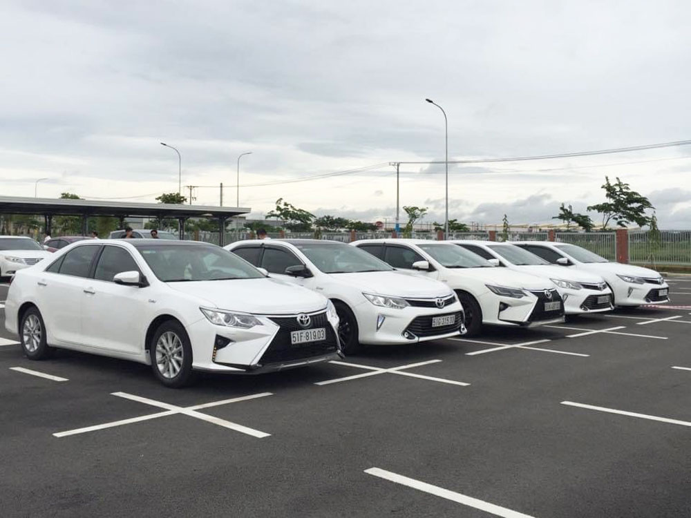 Công ty Trí Tài cung cấp các dịch vụ thuê xe tự lái, xe du lịch, cưới hỏi