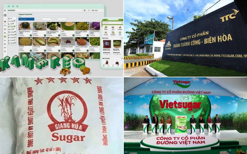 Top 10 shop, đại lý bán đường cát giá sỉ tại TPHCM cực uy tín