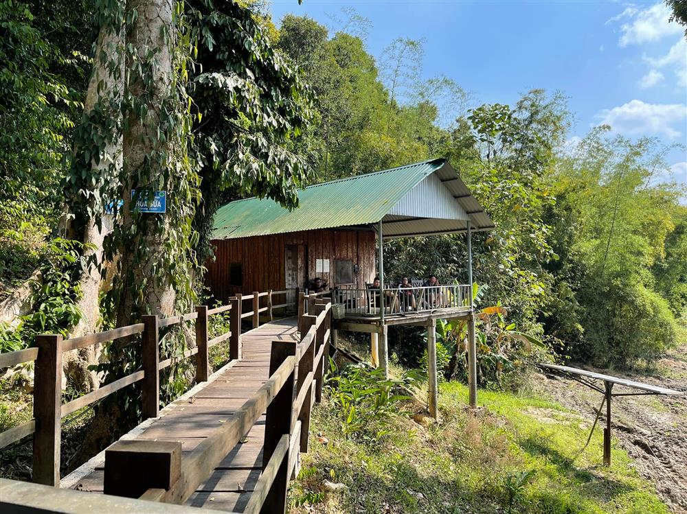 Vườn Quốc gia Cát Tiên chắc chắn là địa điểm tuyệt vời để nghỉ dưỡng yên tĩnh